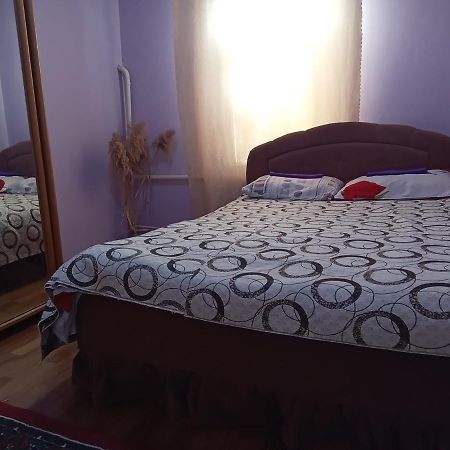 Garden Hotel And Hostel 비슈케크 외부 사진